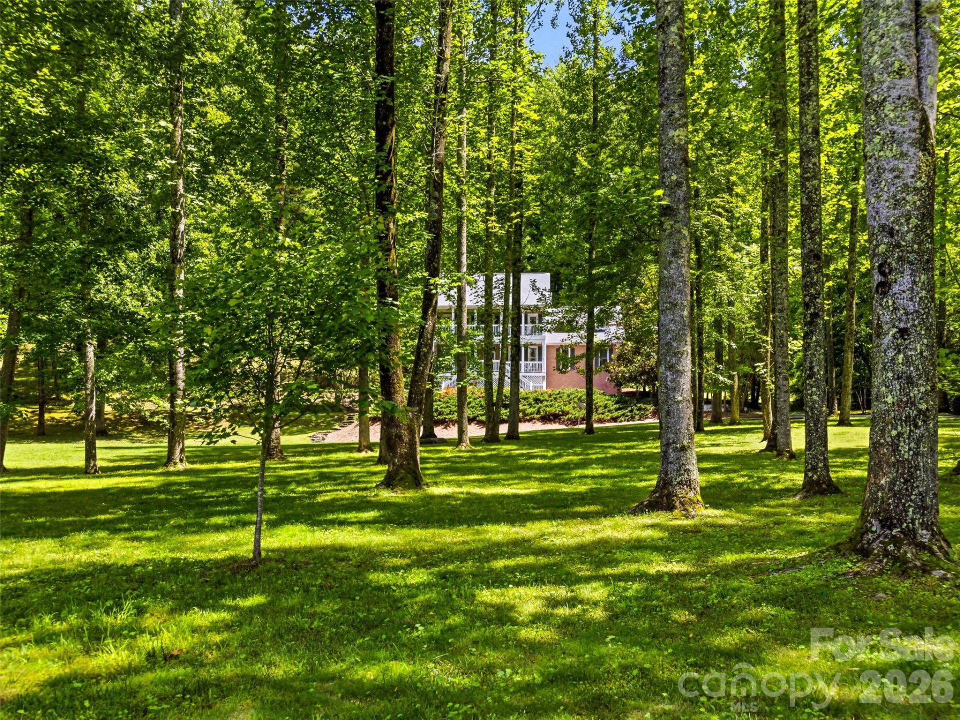 243 Poplar Lane - Photo 40
