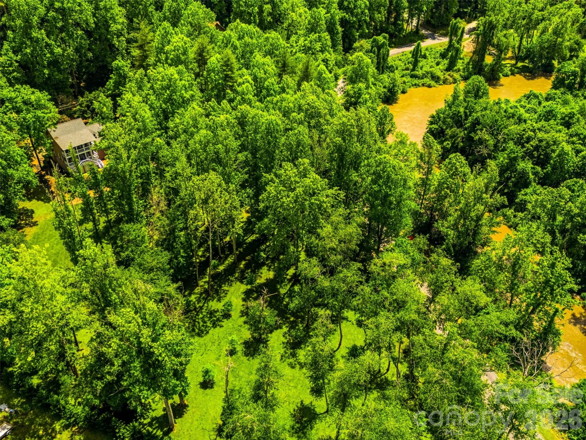 243 Poplar Lane - Photo 48